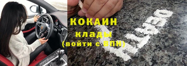 СК Новодвинск