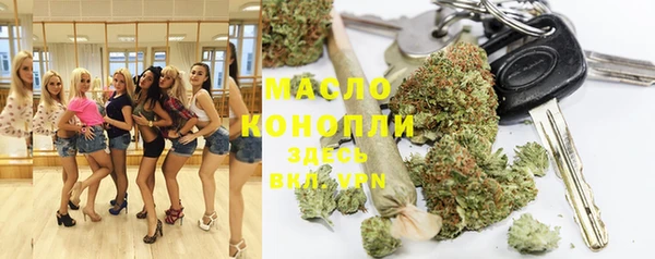 тгк Новозыбков