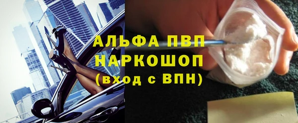 тгк Новозыбков