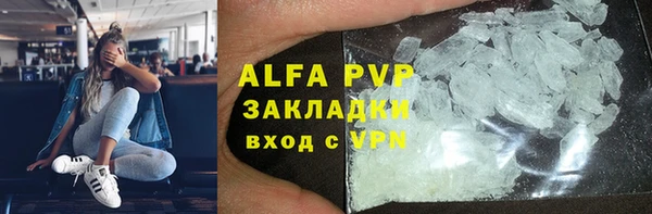 СК Новодвинск