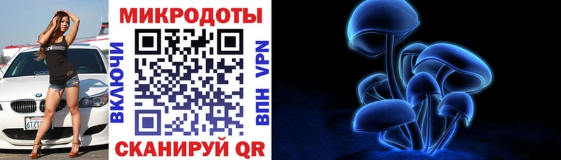 Псилоцибиновые грибы Cubensis  Торопец 