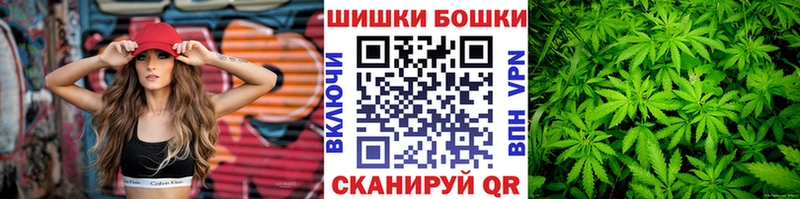 Бошки Шишки планчик  Торопец 